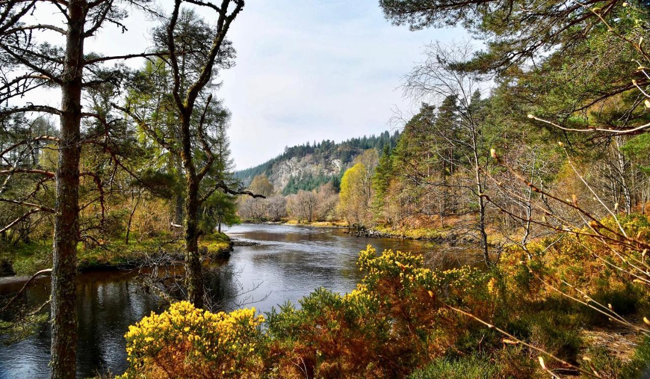 Hill Cottage Cabins Fort Augustus Zewnętrze zdjęcie