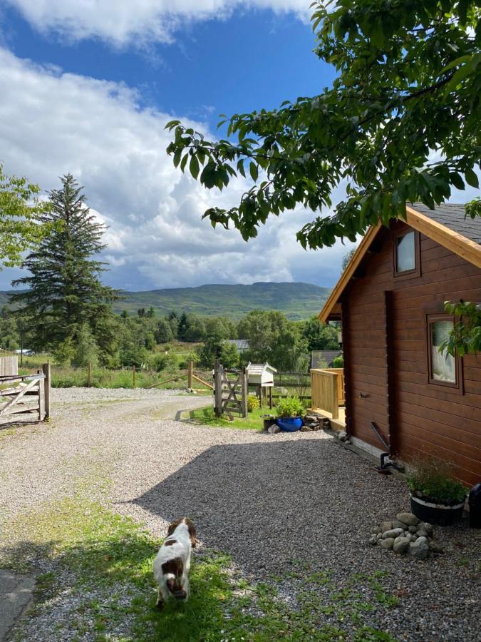 Hill Cottage Cabins Fort Augustus Zewnętrze zdjęcie